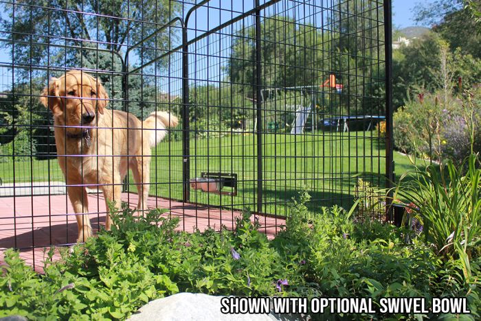 4 X 8 Basic Standard Dog Kennel Powder Coated