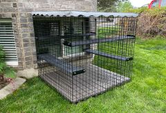 48" X 48" X 46" Outdoor Catio Enclosures