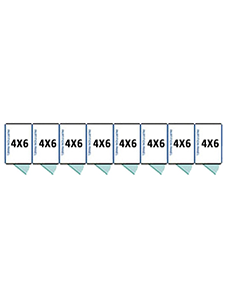  4' X 6' Multiple Vinyl Full Stall Dog Kennels x8
