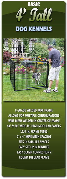 Basic 4 Tall Dog Kennels