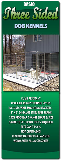 Basic Three Sided Dog Kennels
